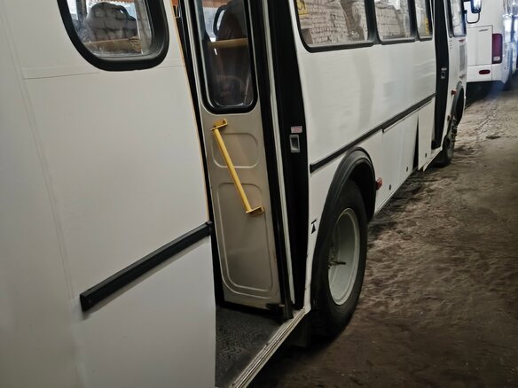 2020 ПАЗ 4234, белый, 2800000 рублей - вид 3
