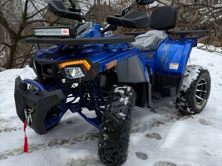 2025 Motoland Wild Track 200 X Pro, жёлтый, 225000 рублей, вид 3