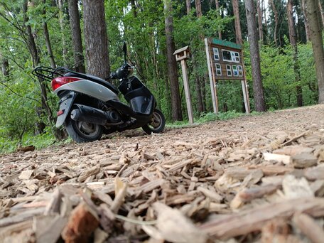 2006 Yamaha CygnusX, белый, 80000 рублей, вид 1