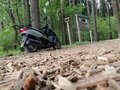 2006 Yamaha CygnusX, белый, 80000 рублей
