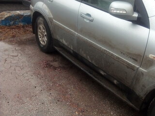 2008 SsangYong Rexton II, серебристый, 850000 рублей, вид 2
