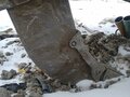 2019 ДСТ-Урал ТМ10, жёлтый, 6365000 рублей - вид 8
