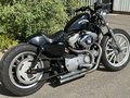 2009 Harley-Davidson Sportster 883, чёрный, 499000 рублей - вид 2