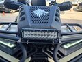 2024 Loncin XWolf 700L Mud, золотистый, 850000 рублей - вид 7