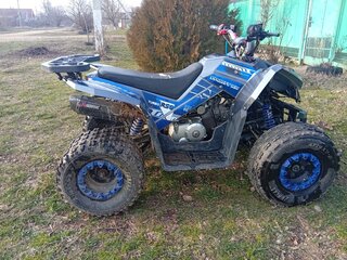 2024 Yacota Sporty XX, синий, 90000 рублей, вид 5