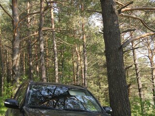 2010 Suzuki Grand Vitara II Рестайлинг, чёрный, 1050000 рублей, вид 1