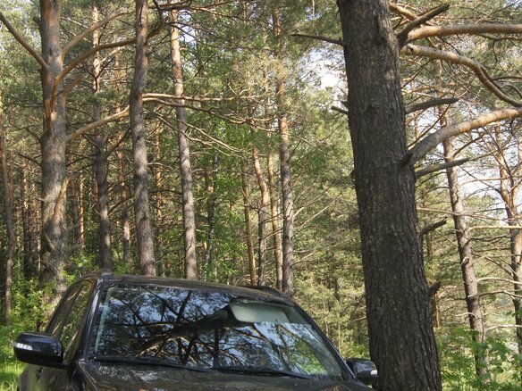 2010 Suzuki Grand Vitara II Рестайлинг, чёрный, 1050000 рублей