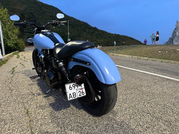 2005 Harley-Davidson Dyna Super Glide, голубой, 800000 рублей - вид 14