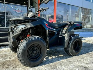 2024 Loncin XWolf 200, чёрный, 250000 рублей, вид 2