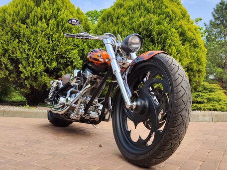 2007 Arlen Ness Lowliner, коричневый, 1699000 рублей, вид 1