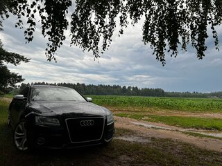 2009 Audi S5 I (8T), чёрный, 1499999 рублей, вид 1