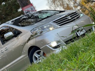 2004 Toyota Alphard I, серебристый, 1700000 рублей, вид 1