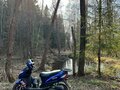 2017 Motoland JOG, синий, 45000 рублей - вид 4