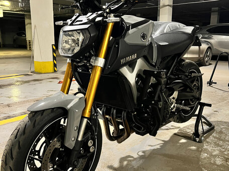 2014 Yamaha MT-09 (FZ-09), серый, 740000 рублей, вид 3