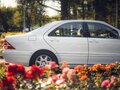1999 Mercedes-Benz S-Класс 320 IV (W220), белый - вид 9