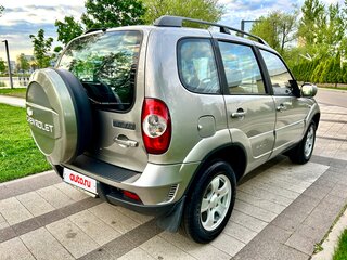 2009 Chevrolet Niva I Рестайлинг, серый, 399000 рублей, вид 4