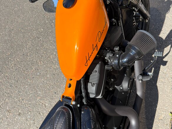 2019 Harley-Davidson Sportster 1200, оранжевый, 1499999 рублей - вид 10