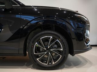 2026 Tenet Plus L4, чёрный, 2690000 рублей, вид 5
