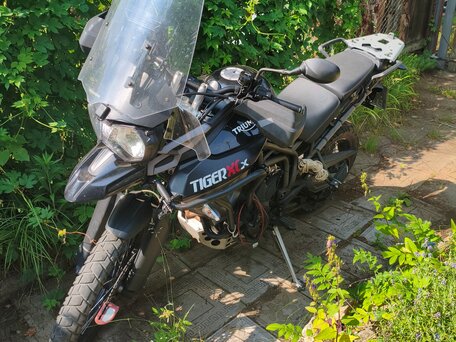 2015 Triumph Tiger 800, чёрный, 680000 рублей, вид 3