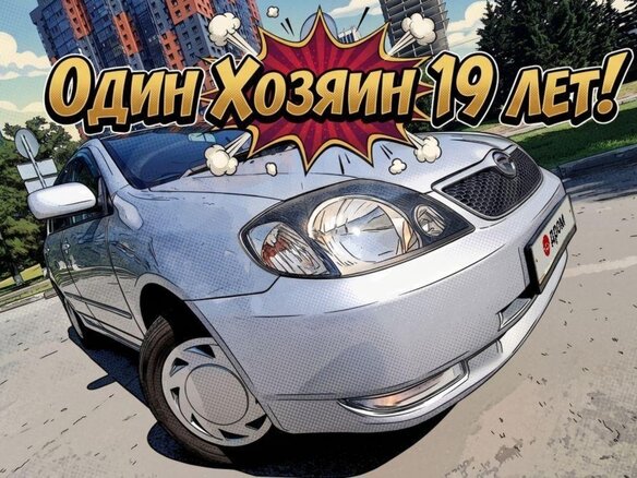 2001 Toyota Corolla Fielder IX (E120, E130), серый, 490000 рублей - вид 1