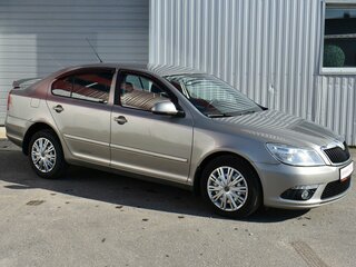 2010 Skoda Octavia II (A5) Рестайлинг, серый, 729000 рублей, вид 2