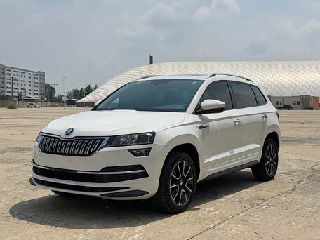 Skoda Karoq I