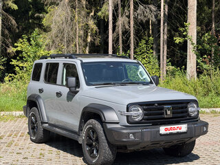 2024 Tank 300 I, серый, 3600000 рублей, вид 2