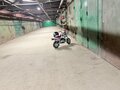 2026 Honda Z125 Monkey, белый - вид 6