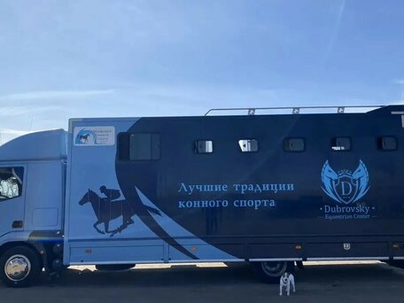 2011 Iveco EuroCargo, голубой, 13000000 рублей, вид 4
