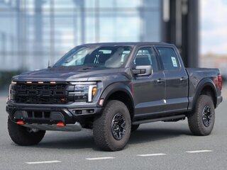 2026 Ford F-150 Raptor SuperCrew Raptor XIV Рестайлинг, серый, 20490000 рублей, вид 1