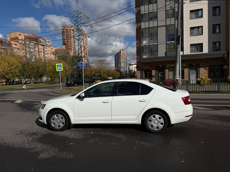 2019 Skoda Octavia III (A7) Рестайлинг, белый, 1080000 рублей, вид 3