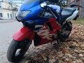 2000 Honda CBR 600F, синий, 270000 рублей - вид 6