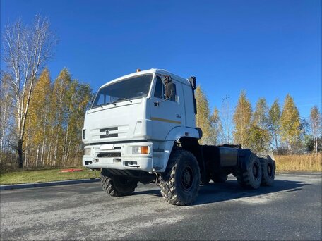 2009 КамАЗ 65225, белый, 2500000 рублей, вид 3
