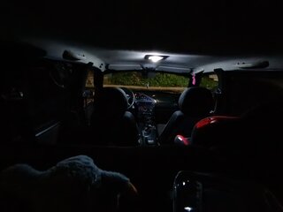 2006 Chevrolet Niva I, серебристый, 410000 рублей, вид 4