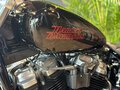 2024 Harley-Davidson Softail Standard, чёрный, 1990000 рублей - вид 10