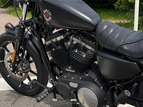 2019 Harley-Davidson Sportster 883, чёрный, 635000 рублей, вид 3