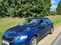 2019 Skoda Octavia III (A7) Рестайлинг, синий, 1700000 рублей