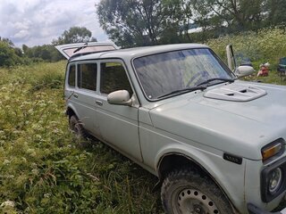 2002 Lada (ВАЗ) 2131 (4x4) 213105 I, серый, 170000 рублей, вид 2