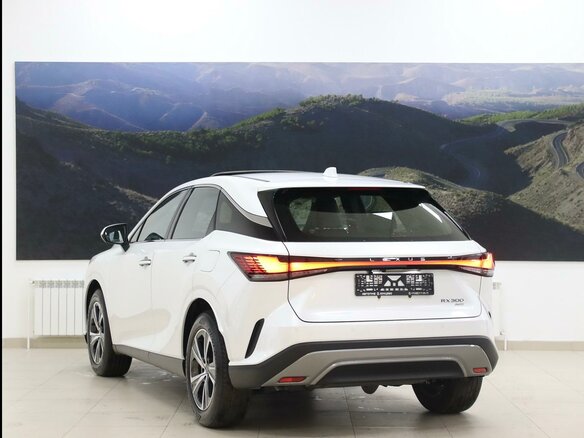 2026 Lexus RX 300 V, белый, 7600000 рублей - вид 5
