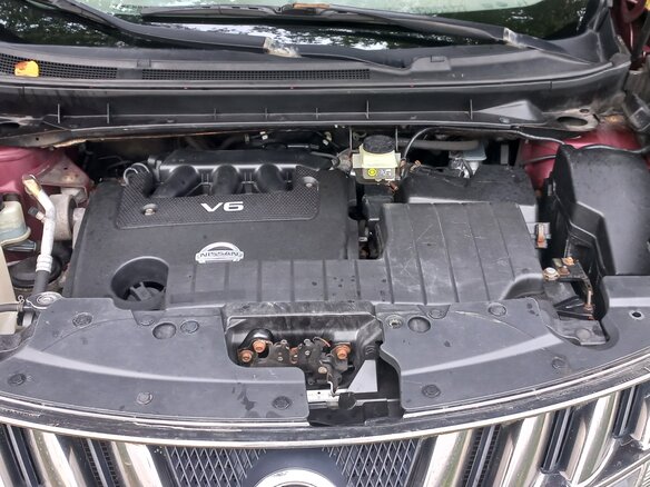 2009 Nissan Murano II (Z51), красный - вид 22