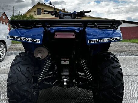 2018 Kawasaki KVF 750 Brute Force, синий, 700000 рублей, вид 4