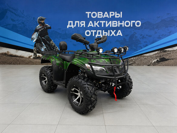 2026 Другие Мотовездеходы (другие), зелёный, 300900 рублей