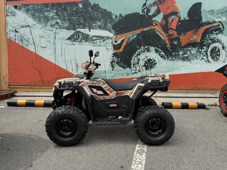2026 Другие Мотовездеходы (другие), бежевый, 106000 рублей, вид 4