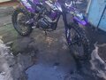 2025 Darex Alga 300, фиолетовый, 115000 рублей - вид 2
