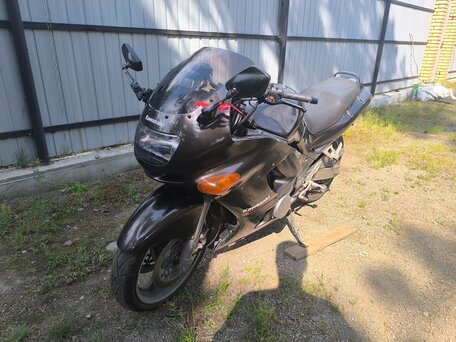 2001 Kawasaki ZZR 400, коричневый, 350000 рублей, вид 1