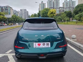 2024 Ora Good Cat 47.8 kWh I, зелёный, 1600000 рублей, вид 5