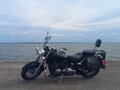 2001 Yamaha XVS650 Drag Star, чёрный, 499000 рублей - вид 6