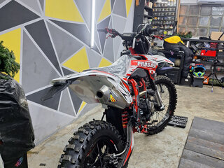 2025 Progasi Super Max 300, красный, 185000 рублей, вид 2