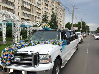 2004 Ford Excursion, белый, 500000 рублей, вид 2