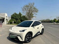 2024 BYD Seagull 30.08 kWh I, белый, 1280000 рублей